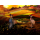 Switch Muramasa: Revenant Blades Deluxe Edition - 1546860 - zdjęcie 4